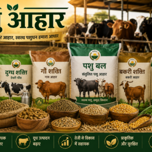 पशु आहार