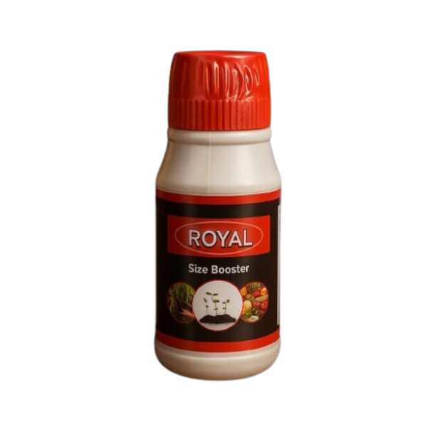 Royal