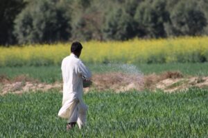 The Growing Importance of Organic Farming Products in India